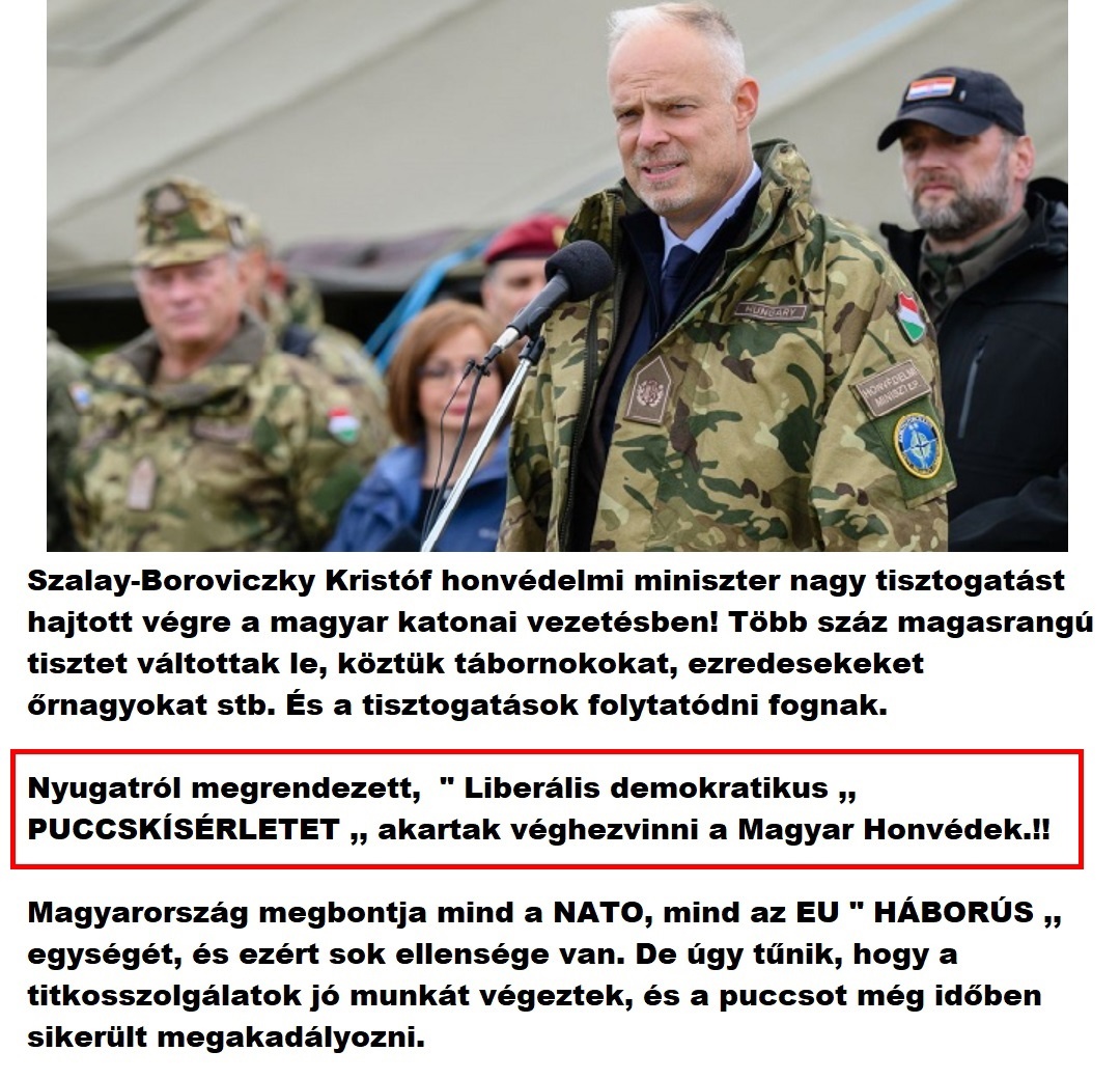 boroviczky_puccsksrlet.jpg (374 KB)