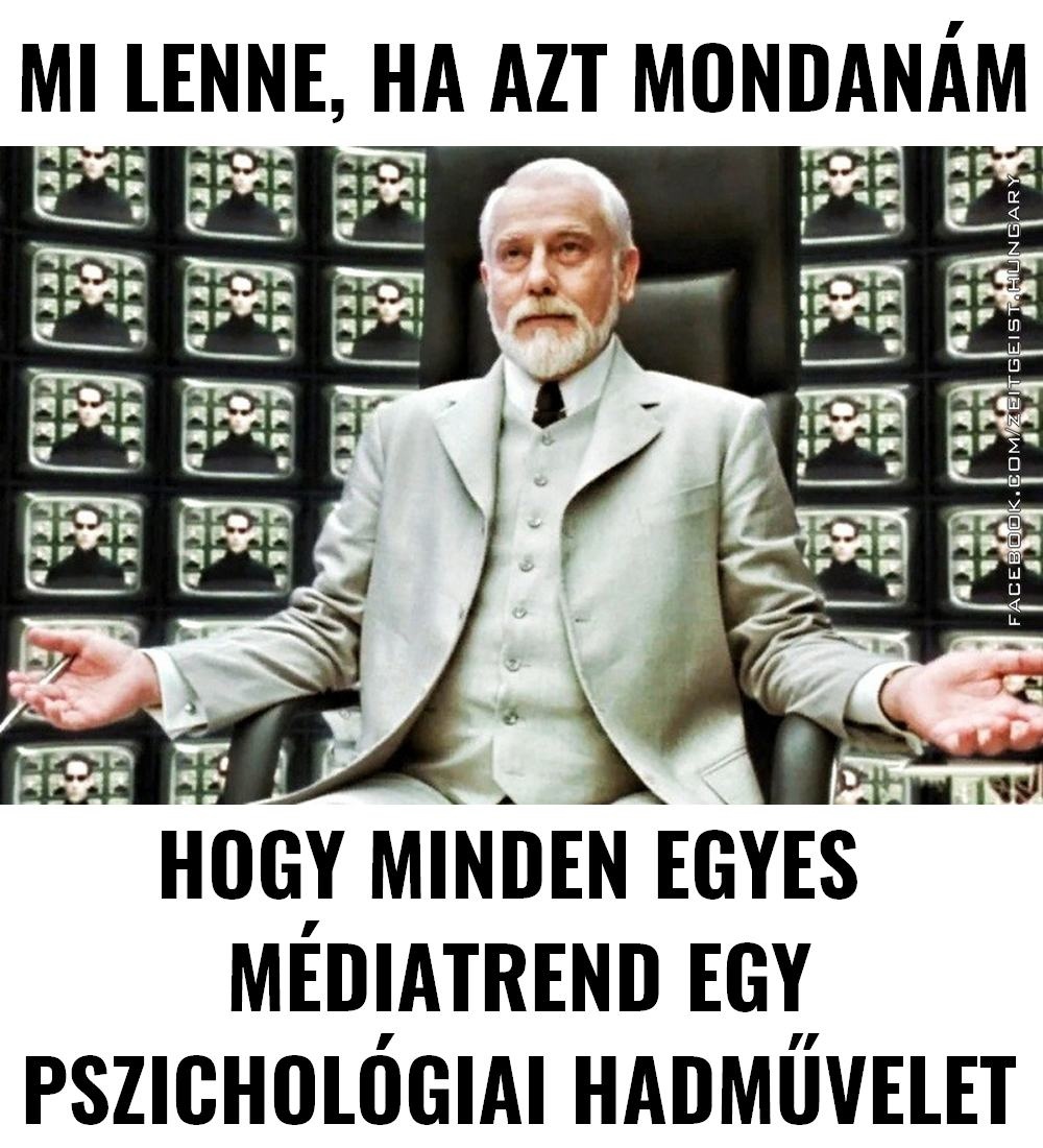 mdia_mtrix.jpg (288 KB)